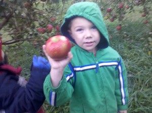 Patrick picks an apple at Eddy Fruit Farm